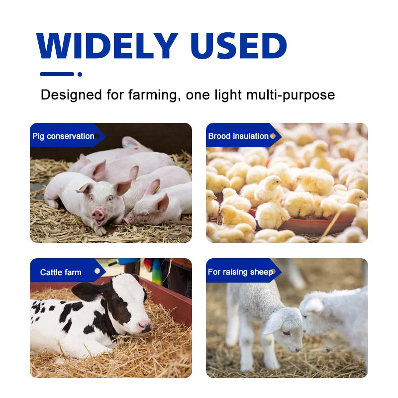 Insulation Lamp Piglet Heating Lamp