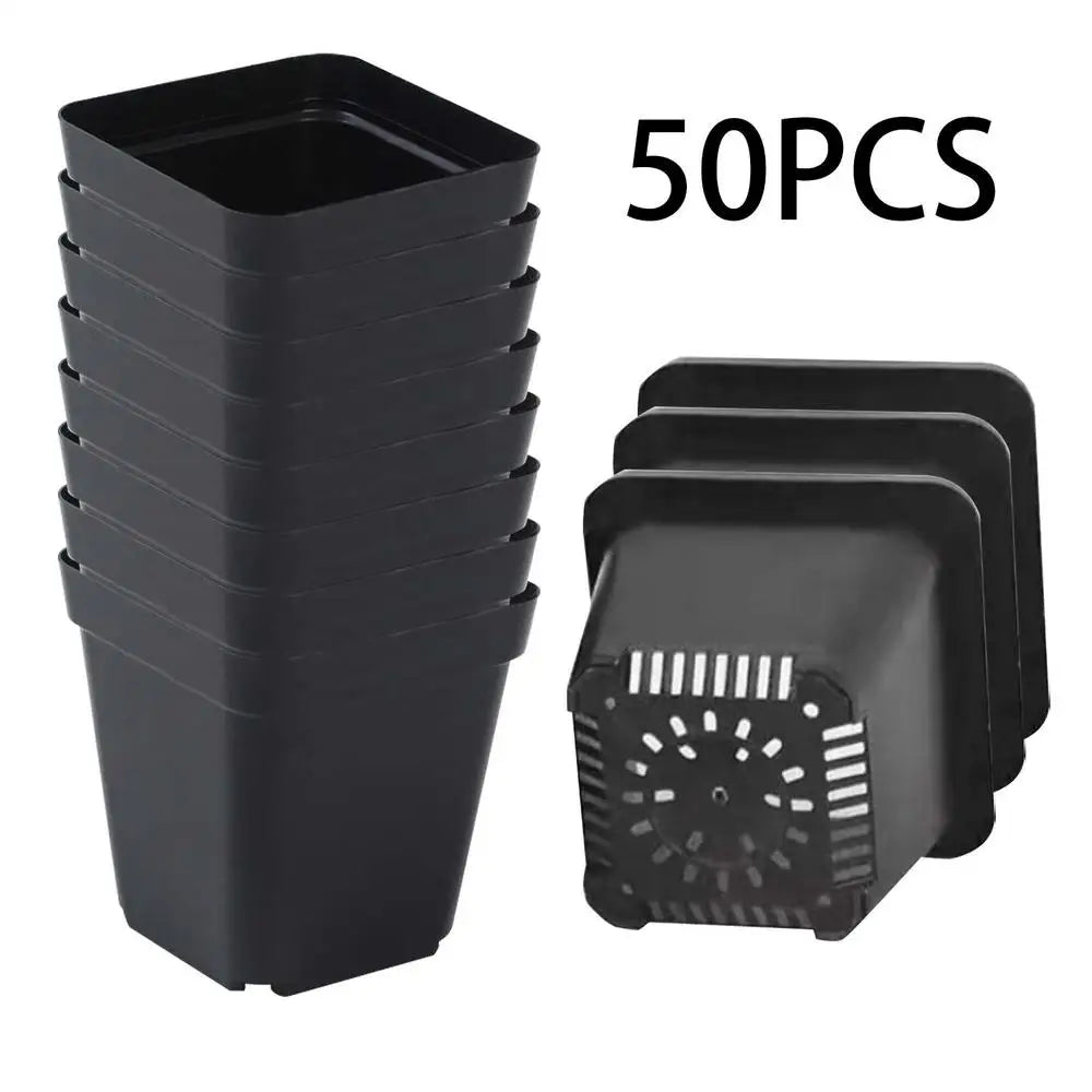 50pcs Plastic Seedling Cup