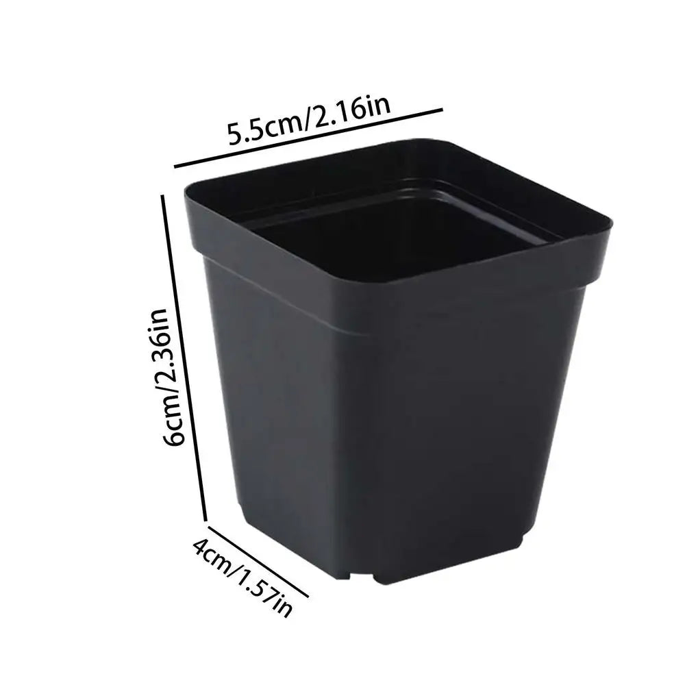 50pcs Plastic Seedling Cup
