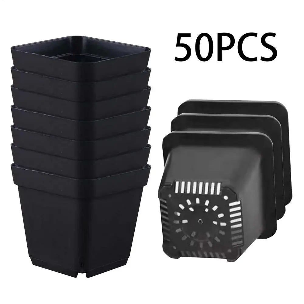 50pcs Plastic Seedling Cup