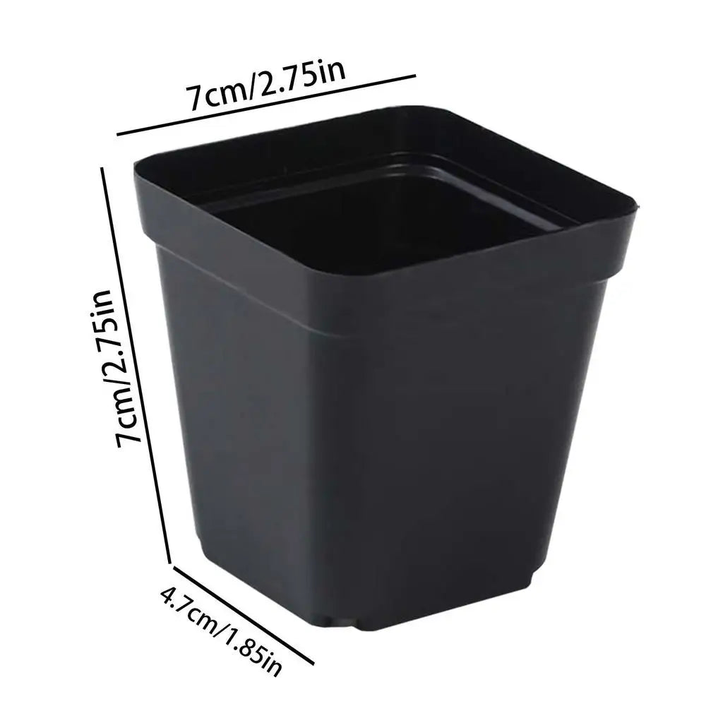 50pcs Plastic Seedling Cup