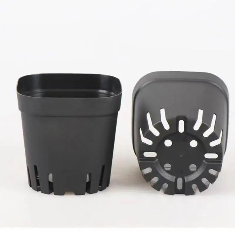 50pcs Plastic Seedling Cup