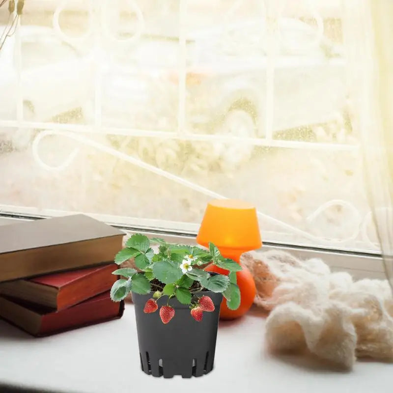 50pcs Plastic Seedling Cup