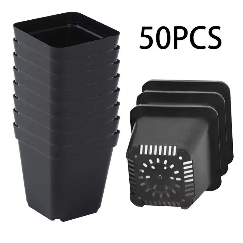 50pcs Plastic Seedling Cup