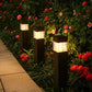 Solar Courtyard Garden Landscape Outdoor Ground Plug Lights