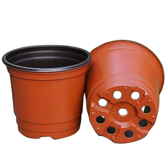 Plastic Flowerpot Grow Boxes