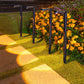 Solar Powered Outdoor Garden Pathway Lights