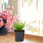 50pcs Plastic Seedling Cup Thickened Nursery Pots Flower Pots for Garden Planting Nutrition Cup Seedling Cultivation Container