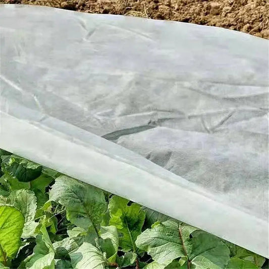 Winter Garden Protection Cover Winter Frost Plant