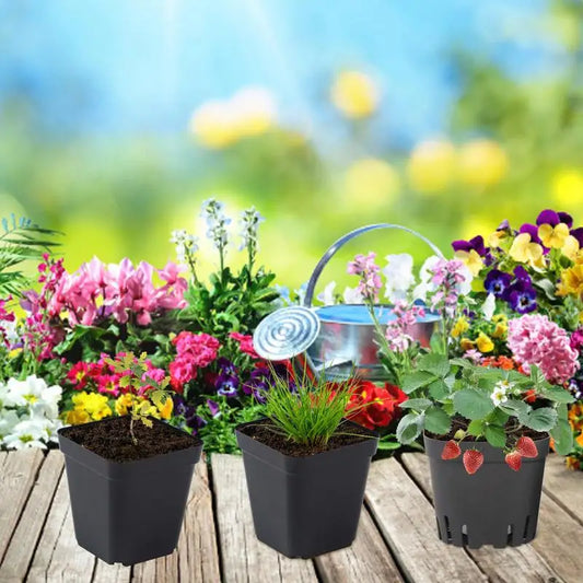 50pcs Plastic Seedling Cup