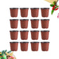 30Pcs with Drainage Holes 15cm Nursery Pots Starting Pot Flower Container for Succulents Seedlings Cuttings